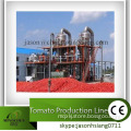 Ketchup (Tomato Paste) Production Line